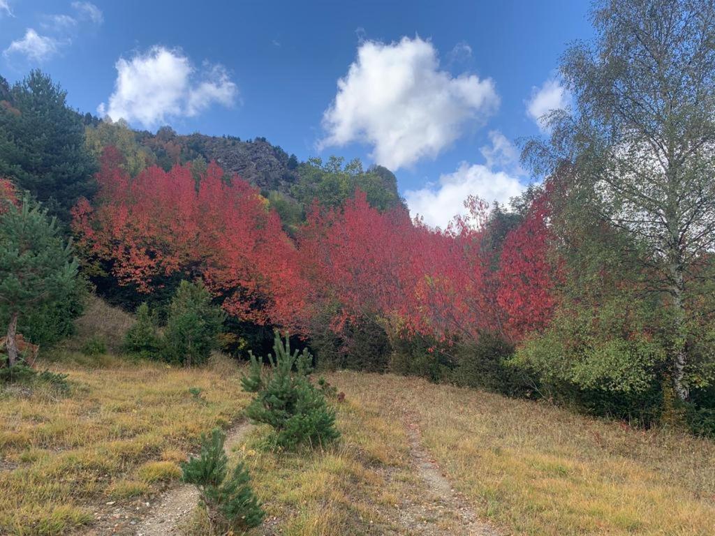 Apartmán El Estacho De Panticosa Exteriér fotografie