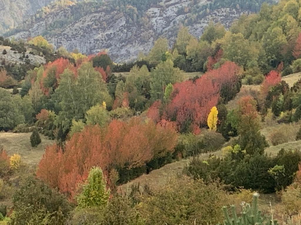 Apartmán El Estacho De Panticosa Exteriér fotografie